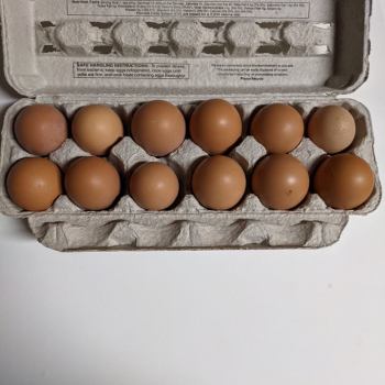 1dz Happy Hens NC, LLC Eggs